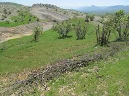 رفع تصرف شخصی 10 هزار متر از اراضی ملی در روستای شیشارستان شهرستان املش