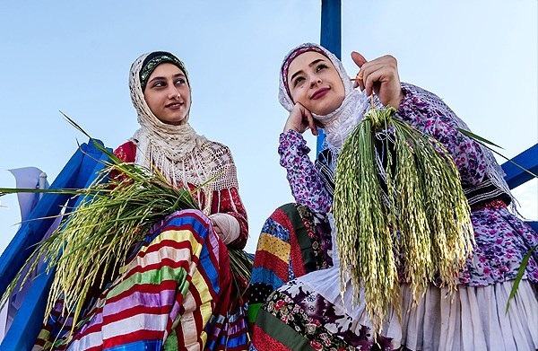 برگزاری جشنواره جوکول در شفت