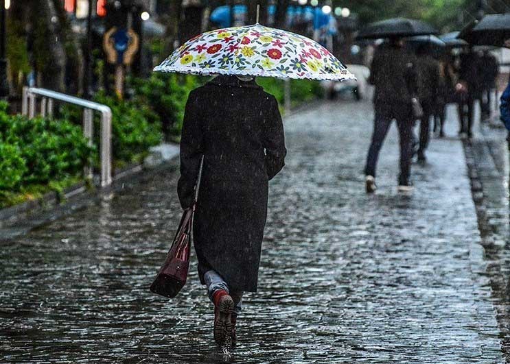 کاهش دما و احتمال بارندگی  در گیلان/کشاورزان از دروی محصول خودداری کنند