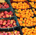 تمهیدات جهاد کشاورزی برای تامین میوه شب عید گیلانیان