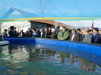 طرح پرورش ماهی روستای گرمه سر به بهره برداری رسید