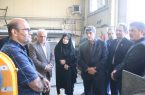 بازدید معاون هماهنگی امور اقتصادی و زیربنایی معاون اول رئیس جمهور از یک مجتمع کارگاهی در رشت