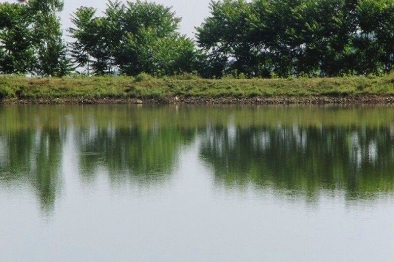 اختصاص ۷/۵ میلیارد تومان اعتبار برای لایروبی آببندان های صومعه سرا اختصاص ۷/۵ میلیارد تومان اعتبار برای لایروبی آببندان های صومعه سرا