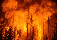 هشدار محیط‌زیست گیلان درباره افزایش خطر آتش‌سوزی در جنگل‌ها و مراتع استان