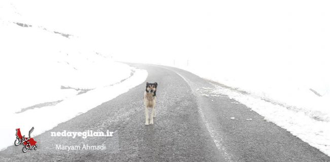 مرخصی اعضای ستاد مدیریت بحران شفت لغو شد