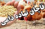 کشف یک محموله نهاده دامی قاچاق در لوشان