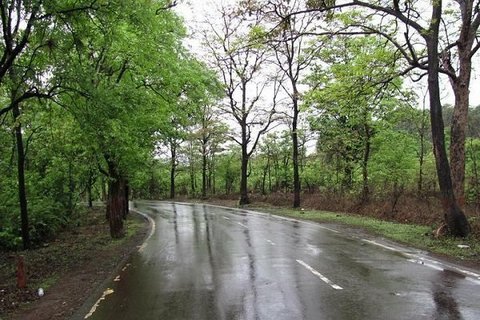 همچنان خنکی هوا میهمان تابستان گیلانی‌ها