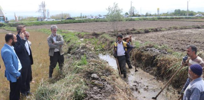 بازدید فرماندار رشت از شالیزارهای بخش خشکبیجار