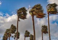 وزش باد گرم در گیلان از ظهر شنبه