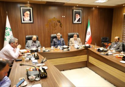 بیستون، لاکانی و مطهری در اولویت احداث پارکینگ / پارکینگ جهانگیری تعطیل شود