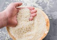 افزایش میزان کشت دوم برنج در استان / گیلان می تواند در تولید برنج به خودکفایی برسد افزایش میزان کشت دوم برنج در استان / گیلان می تواند در تولید برنج به خودکفایی برسد