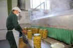 اشتغالزایی بیش از ۲۰۰ گیلانی با راه اندازی صنایع تبدیلی کشاورزی