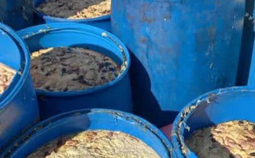 رها کردن ضایعات مرغ فاسد به داخل رودخانه در شفت/ فرد متخلف به مراجع قضایی معرفی شد