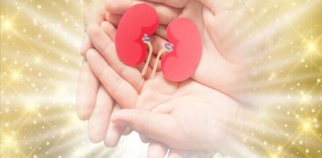 ۱۵۰ زندگی در انتظار نجات