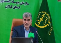 بیش از ۴ هزار هکتار اراضی تالاب انزلی رفع تداخل شد
