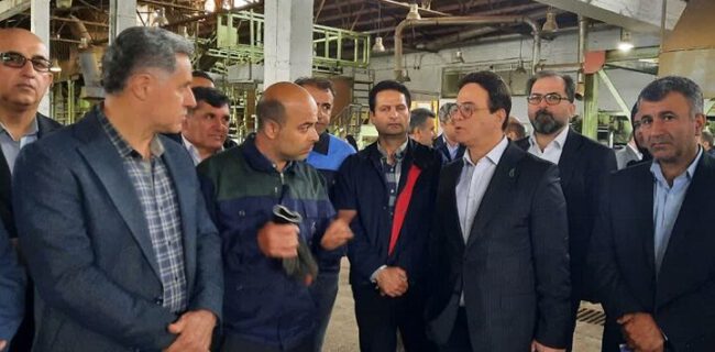 صنایع چوب اسالم باید از سیاست زدگی دور شود