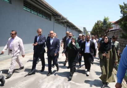 بازدید سخنگوی دولت از ۲ مجتمع تولیدی در بندرانزلی