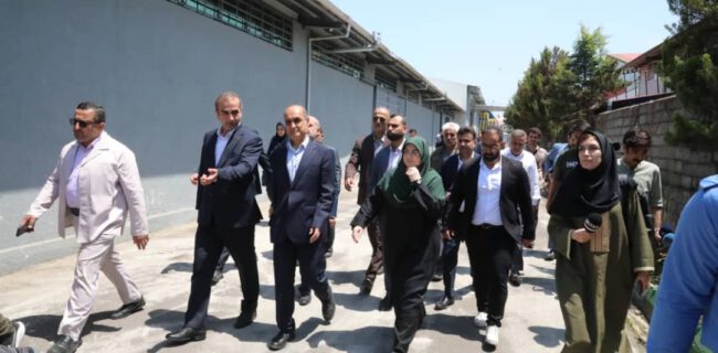 بازدید سخنگوی دولت از ۲ مجتمع تولیدی در بندرانزلی