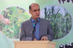 دفن زباله در جنگل قابل قبول نیست