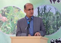 دفن زباله در جنگل قابل قبول نیست