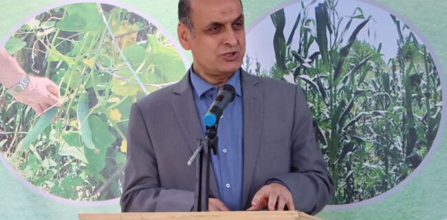 دفن زباله در جنگل قابل قبول نیست