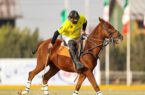 تیم ملی چوگان ایران مسافر جام جهانی شد