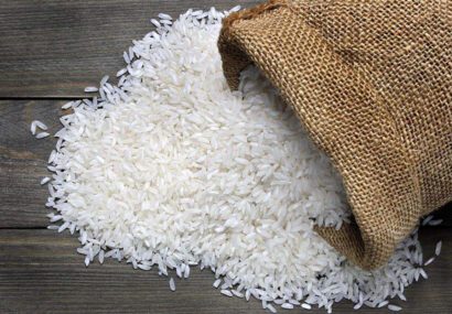 مجوز دولت برای واردات برنج در فصل برداشت خلاف قانون است/ نیکزاد: کمیسیون کشاورزی به موضوع افزایش قیمت برنج ورود کند