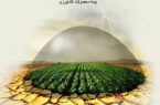 مهلت بیمه ۲ محصول کشاورزی در گیلان تمدید شد
