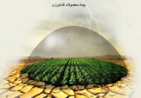 مهلت بیمه ۲ محصول کشاورزی در گیلان تمدید شد