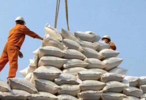 دریایی از برنج وارد ایران شد