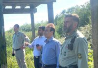 تقویت زیرساختهای حفاظتی و گردشگری لیسار تالش تقویت زیرساختهای حفاظتی و گردشگری لیسار تالش