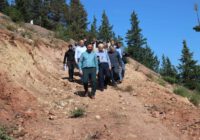 تخریب منابع طبیعی و قطع درختان با احداث جاده در شهرستان رودبار