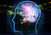 تکالیف وزارت علوم در حوزه حمایت از هوش مصنوعی مشخص شد تکالیف وزارت علوم در حوزه حمایت از هوش مصنوعی مشخص شد