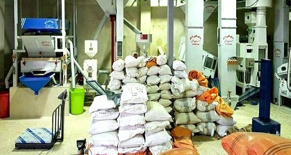 نوسازی و تجهیز ۴۰۷ واحد شالیکوبی در گیلان