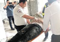 کارگر ساختمانی در رشت بر اثر برق گرفتگی جان باخت