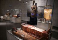 واکنش صالحی امیری به افتتاح موزه تمدنی مصر