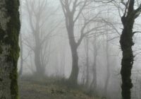 فوت کوهنورد لاهیجانی پس از ایست قلبی در مسیر فوت کوهنورد لاهیجانی پس از ایست قلبی در مسیر