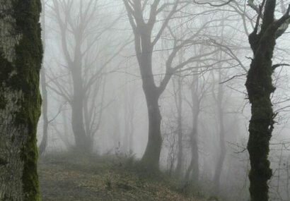 فوت کوهنورد لاهیجانی پس از ایست قلبی در مسیر فوت کوهنورد لاهیجانی پس از ایست قلبی در مسیر