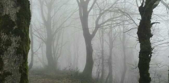 فوت کوهنورد لاهیجانی پس از ایست قلبی در مسیر