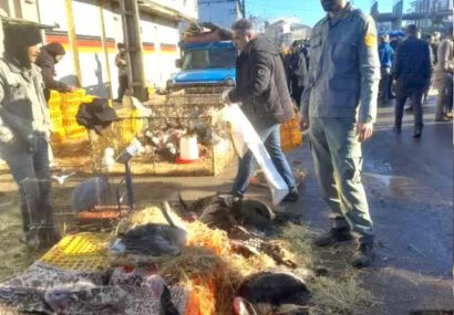 پایش زیست محیطی بازار هفتگی در صومعه سرا پایش زیست محیطی بازار هفتگی در صومعه سرا