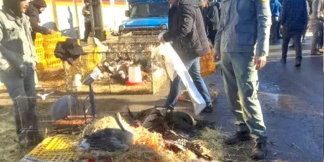 پایش زیست محیطی بازار هفتگی در صومعه سرا