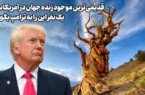 پخش فوتبال در سینما؛ راهکار موقت برای خروج از رکود گیشه