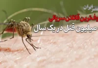 سریال «ماه لالا» با مجری محبوب کودکان عرضه شد/یک فانتزی-خیال‌انگیز برای فرزندان ایران