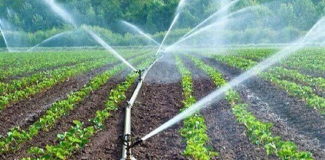 جلوگیری از هدررفت آب از طریق روش‌های نوین آبیاری در گیلان