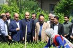 بازدید استاندار گیلان از روند برداشت برگ سبز چای در لاهیجان