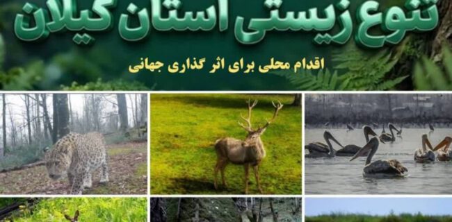 گیلان گنجینه‌ای از تنوع زیستی ایران