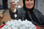 نوغانداران گیلانی برای خرید تخم نوغان عجله کنند