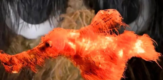 کشف یک ماهی ناشناخته پرزدار با شکلی عجیب! | عکس
