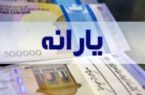 یارانه جدید در راه است/ کدام خانوارها مشمول سبد غذایی رایگان می‌شوند؟