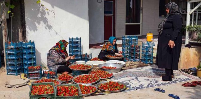 اشتغال بیش از ۳ هزار بانوی گیلانی در تعاونی‌های استان